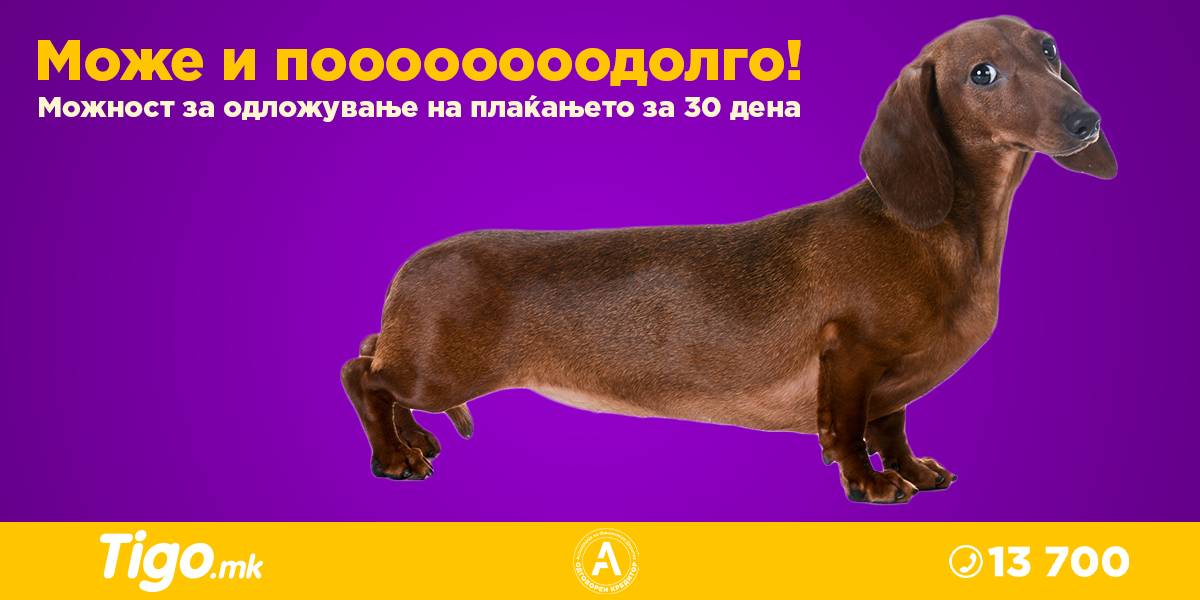 Push Jazovichar 2